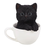 BLACK TEA CUP KITTEN C/12