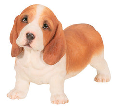 Cats, Puppies and Dogs