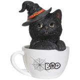 BLACK KITTEN IN A TEA CUP C/12