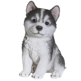 HUSKY PUPPY C/6