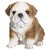 BULLDOG PUPPY C/12