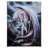 DRAGON MAGE CANVAS PRINT C/48