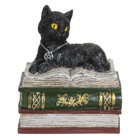 BLACK CAT BOX C/24