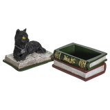 BLACK CAT BOX C/24