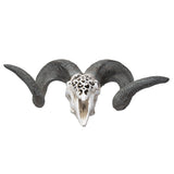 CARVED RAM SKULL C/1