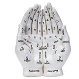 PALMISTRY HANDS HOLDER C/6