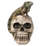 IGUANA ON SKULL C/12