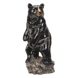 BLACK BEAR C/6