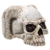 ANGEL OF HADES SKULL C/12