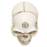 ALCHEMY SKULL / GEAR KNOB C/96