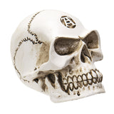 ALCHEMY SKULL / GEAR KNOB C/96