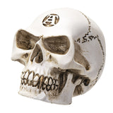 ALCHEMY SKULL / GEAR KNOB C/96