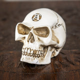 ALCHEMY SKULL / GEAR KNOB C/96