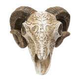 SCRIMSHAW RAM SKULL C/8