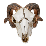 RAMS SKULL MINI C/144