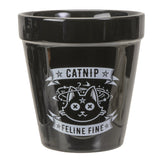 CATNIP GARDEN PLANTER C/24