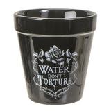 WATER DON'T TORTURE GARDEN PLANTER C/24