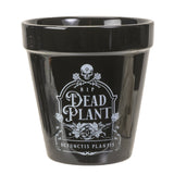 DEAD PLANT GARDEN PLANTER C/24