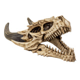 DRAGON SKULL C/6