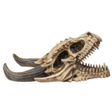 DRAGON SKULL C/6