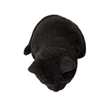 SITTING BLACK CAT C/6