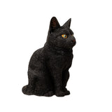 SITTING BLACK CAT C/6