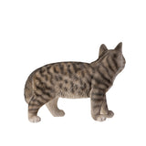 GREY TABBY CAT C/4
