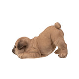 PUG PUPPY C/6