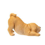 LABRADOR PUPPY C/6