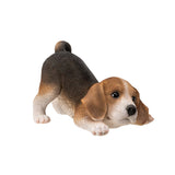 BEAGLE PUPPY C/6