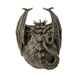 ^ DRACO DRAGON SKULL C/12