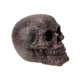 RUSTIC SKULL C/18