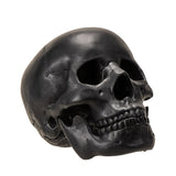 BLACK SKULL C/12