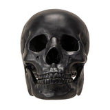 BLACK SKULL C/12