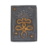 SNAKE TAROT BOX C/24