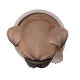 PUG IN POT C/12