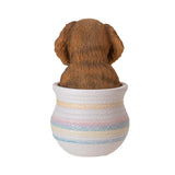 KING CHARLES SPANIEL IN POT C/12