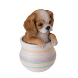 KING CHARLES SPANIEL IN POT C/12