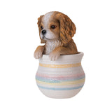 KING CHARLES SPANIEL IN POT C/12