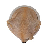 GOLDEN RETRIEVER IN POT C/12