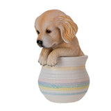 GOLDEN RETRIEVER IN POT C/12