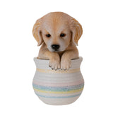 GOLDEN RETRIEVER IN POT C/12