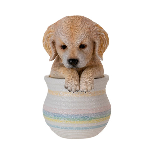 GOLDEN RETRIEVER IN POT C/12