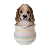 BEAGLE IN POT C/12