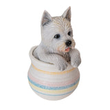 WESTIE IN POT C/12