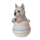 WESTIE IN POT C/12