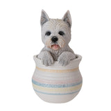 WESTIE IN POT C/12