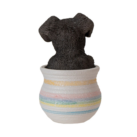 schnauzer plant pot MINI SCHNAUZER IN POT C/12 – Summit Collection Gifts