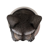 MINI SCHNAUZER IN POT C/12