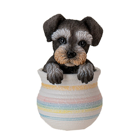MINI SCHNAUZER IN POT C/12 – Summit Collection Gifts